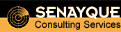 Logo of Senayque Consulting Services
